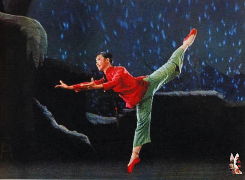 枫叶卡中国护照